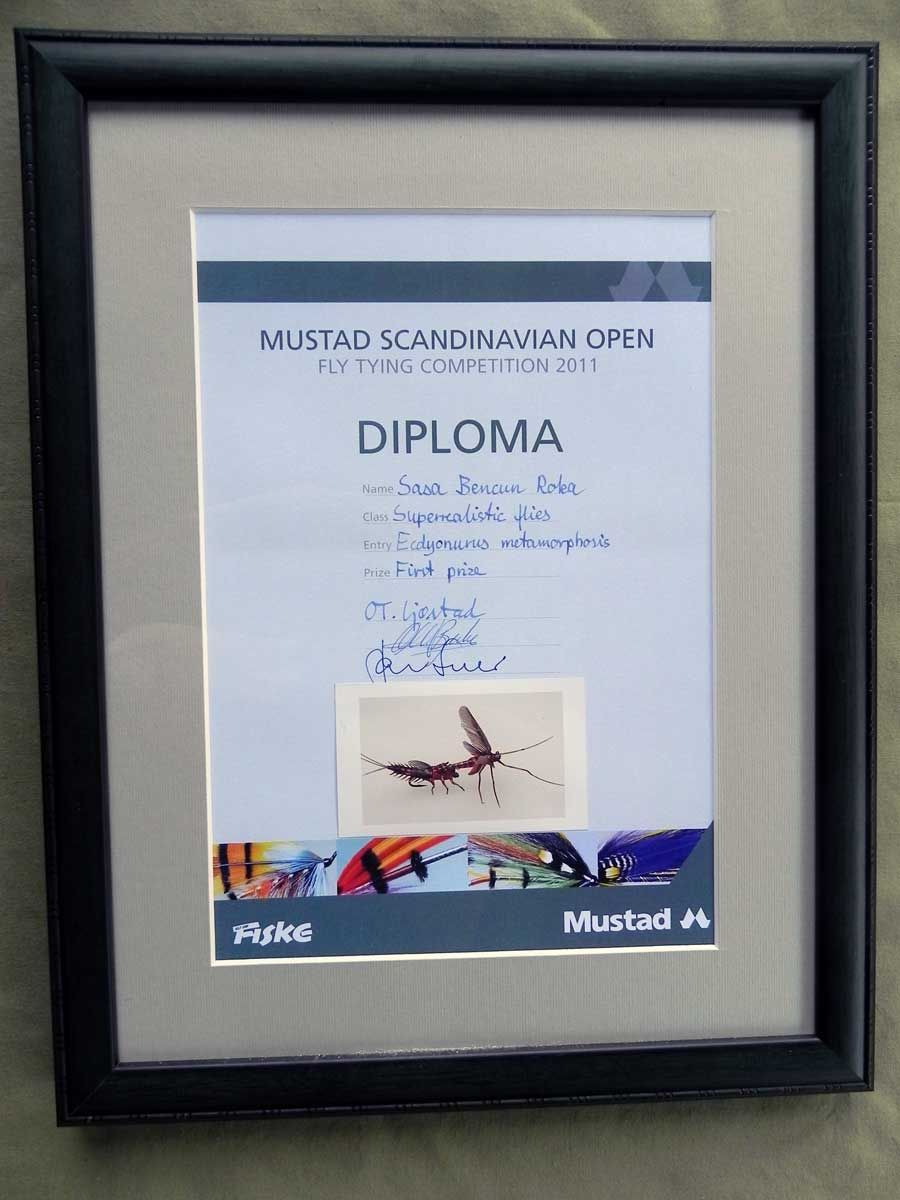 Diploma_Ecdyonurus_metamorphosis-fac3a95dae